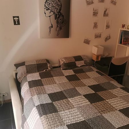 Chambre Chez L'Habitant - Room In The Owner'S Apartment 尼斯 外观 照片